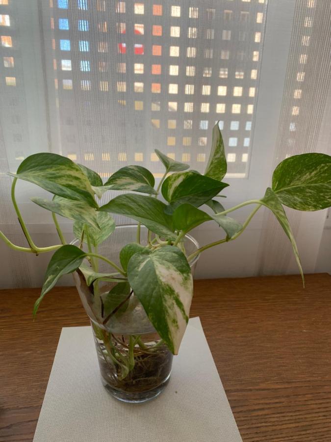 Appartement Loft Funcional Cerca Del Centro